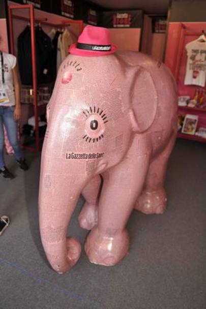 L’elefantino rosa Gazzetta